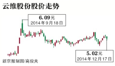 云维集团重整最新动态全面解析